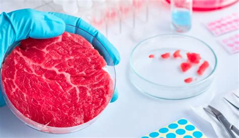 meat made in lab.